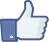 facebook_like_thumb_small-760c8.png