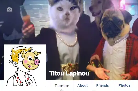 titou-lapinou_en-ae7ef.jpg
