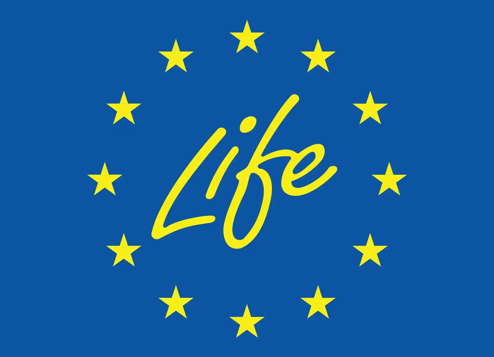life_1_1.jpg