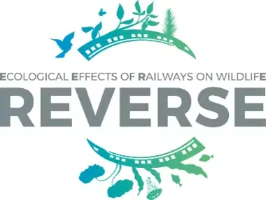reverse-logo.png