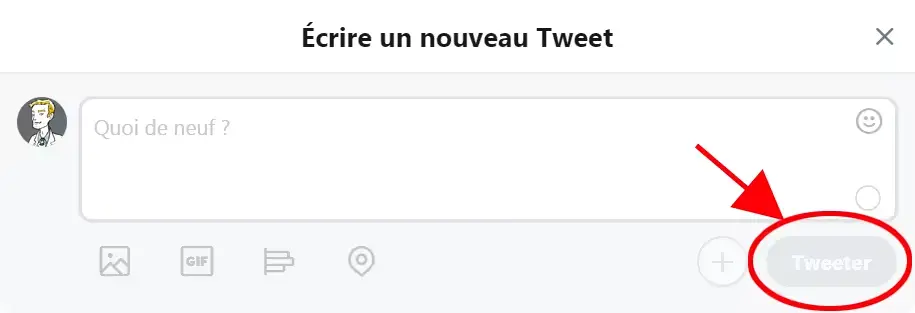 tweet_fr.jpg