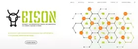BISON project