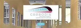 CARBODIN project